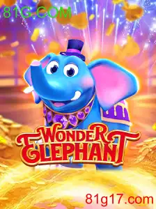 WonderElephant